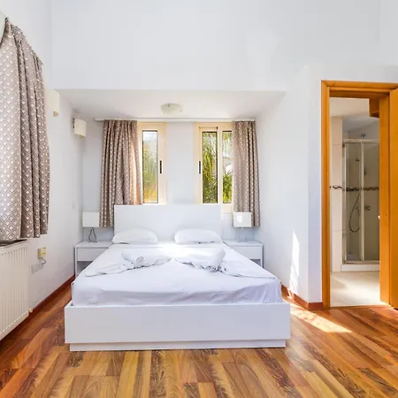 Anthorina Greco #10 *