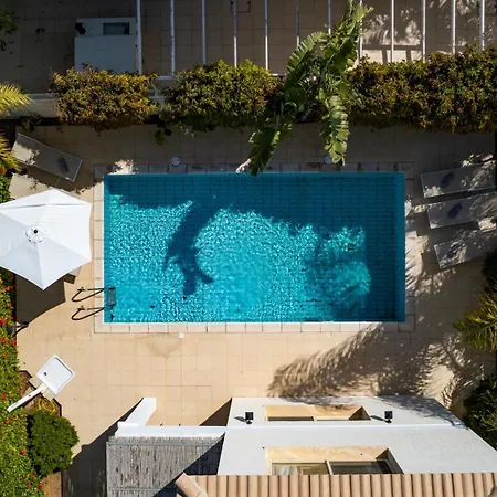 Anthorina Greco #10 *