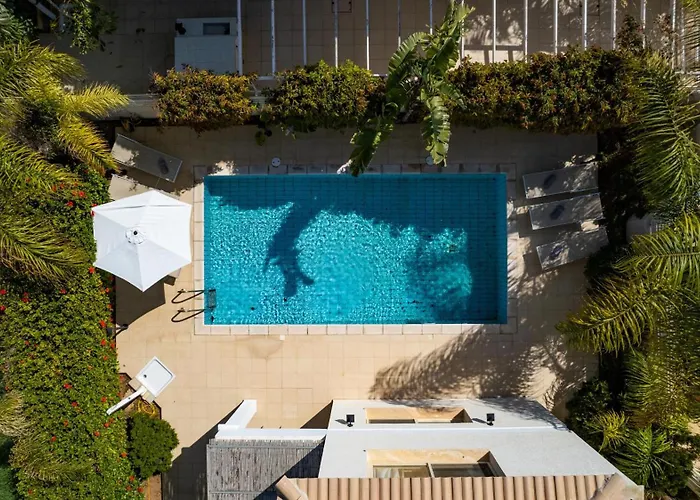 Anthorina Greco #10 *